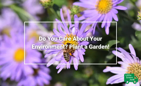 Environment Plant a Garden Junk_Waste Removal