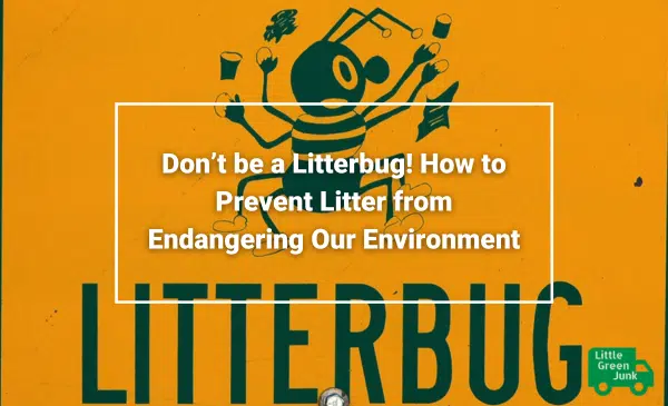 Don’t be a Litterbug! How to Prevent Litter from Endangering Our Environment Little Green Junk