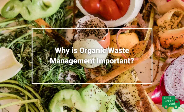 Why is Organic Waste Management Important Little Green Junk